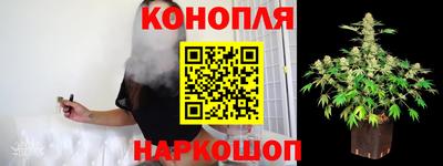 СК Краснодар