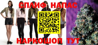 СК Краснодар