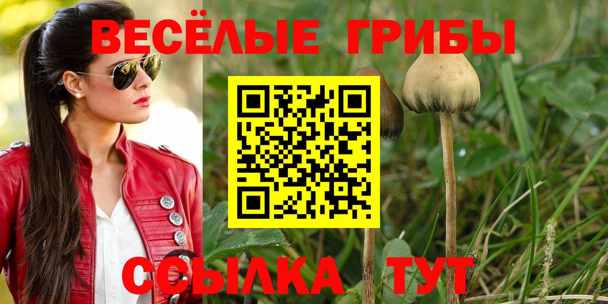 Псилоцибиновые грибы ЛСД Юрга