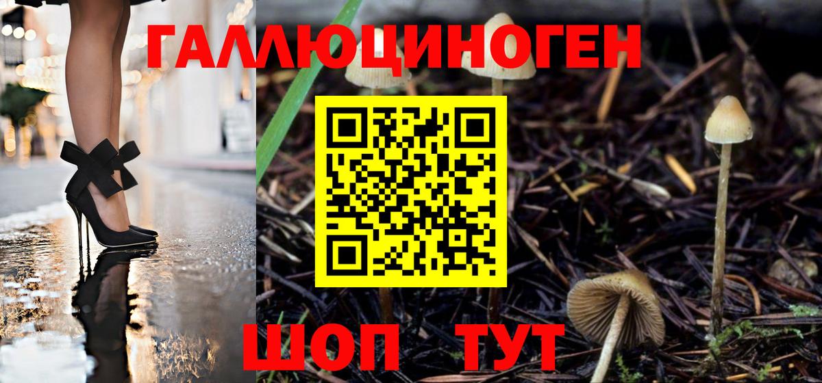 Галлюциногенные грибы прущие грибы  Вход с VPN  Юрга 